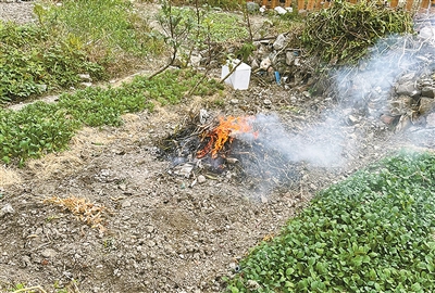 如何遏制秸稈焚燒？寧波江北經驗被點贊