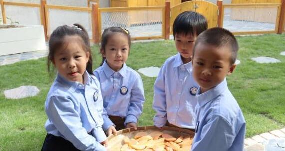 寧波市鄞州區發布中小學生勞動清單 你的孩子達標了嗎?
