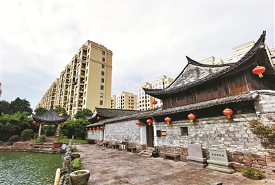 鄉賢反哺，用心用情唱響“振興曲”